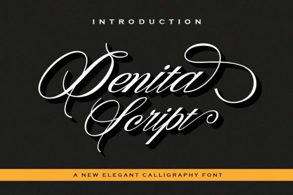 [Creativefabrica] Denita Font (2021)_0.jpg